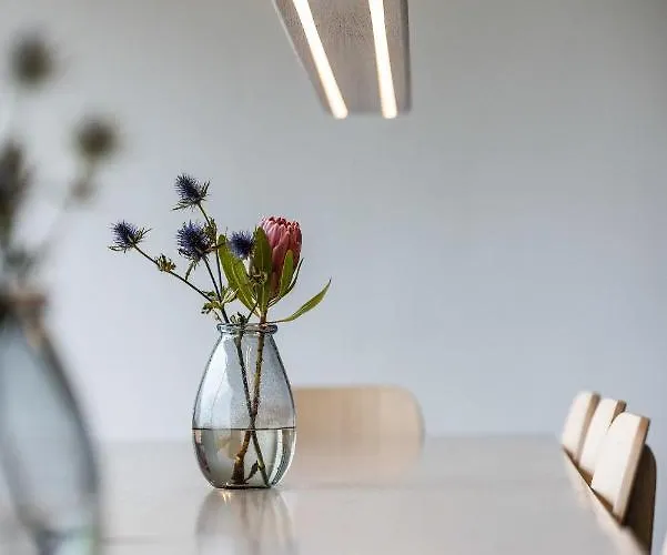 Hotel Airport Hotel, 3*